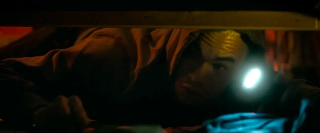 恶心程度100%！这部法国高能爽剧《害虫/魔蛛巢城(港) / 蛛杀》来了！