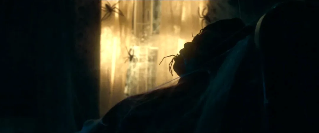 恶心程度100%！这部法国高能爽剧《害虫/魔蛛巢城(港) / 蛛杀》来了！