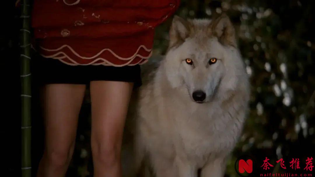 集集限制级，HBO的爆款美剧《真爱如血》，果然名不虚传！