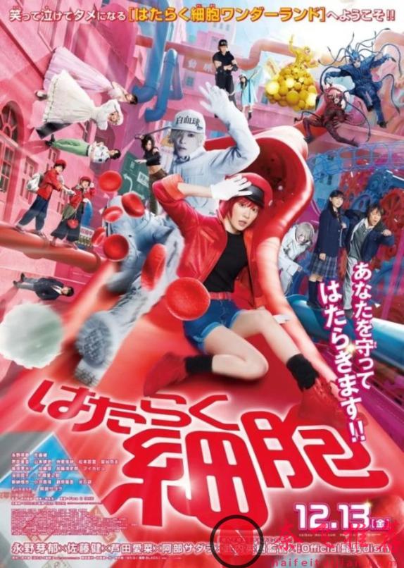 动漫人的宝藏清单！2025年日本电影票房TOP10