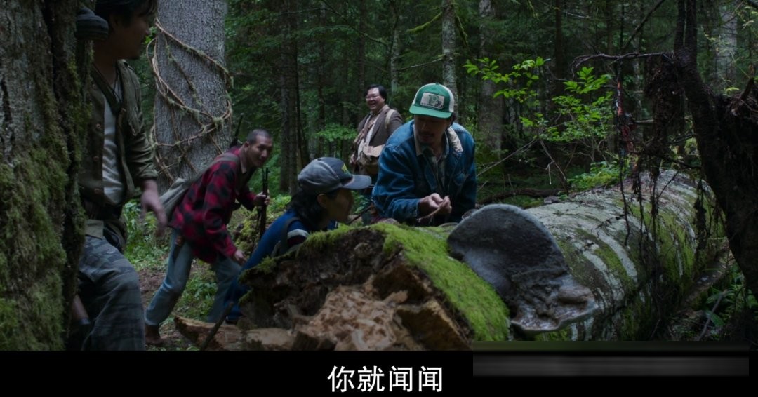 《Hope/HOPE:逆袭希望港/希望:末日血战》:罗泓轸的科幻转向,为何让期待落空