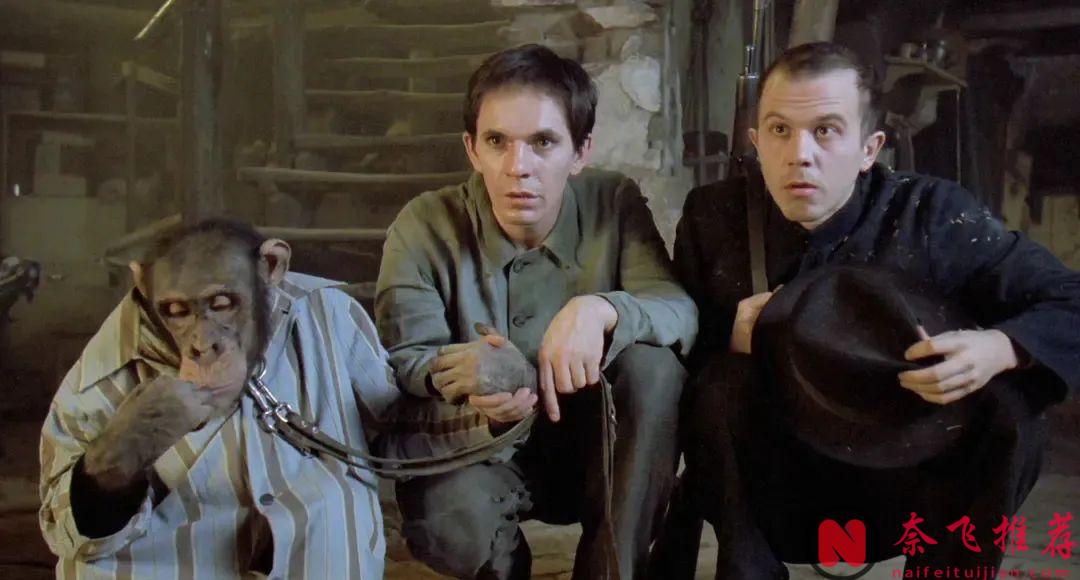 这部史诗级神作《地下/地下社会》虽然是一出无比深情的荒诞闹剧，但我愿称之为「天人之作」！