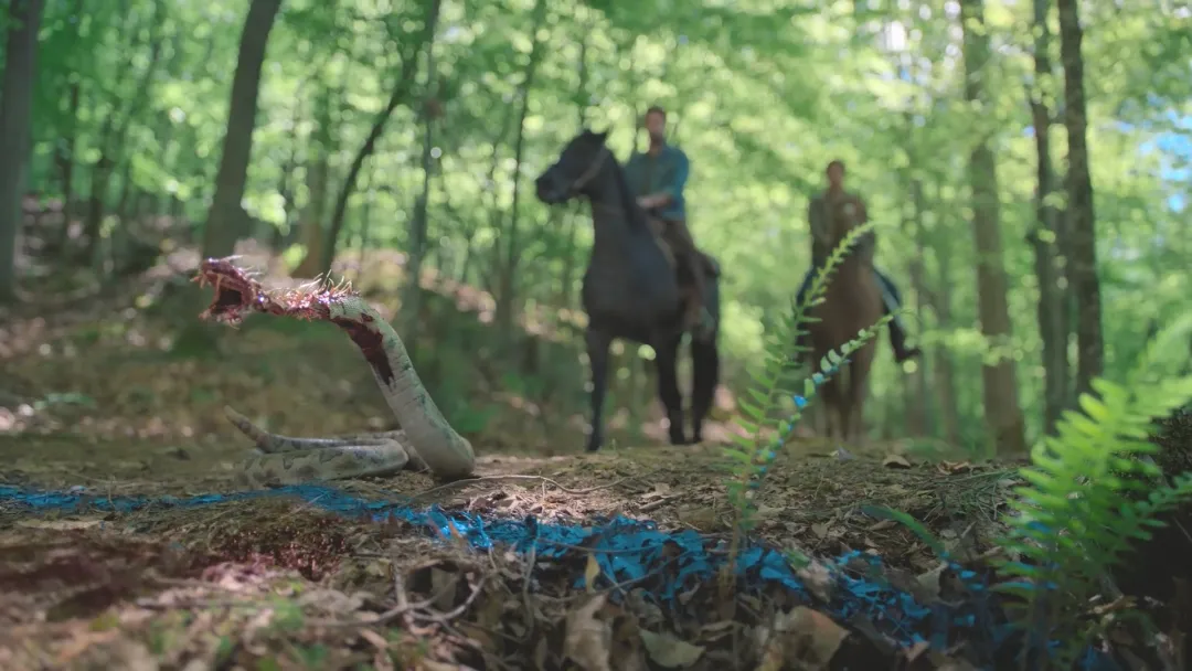 溫子仁操刀新美劇《茶杯/毒刺》，良心之作還是一爛到底？