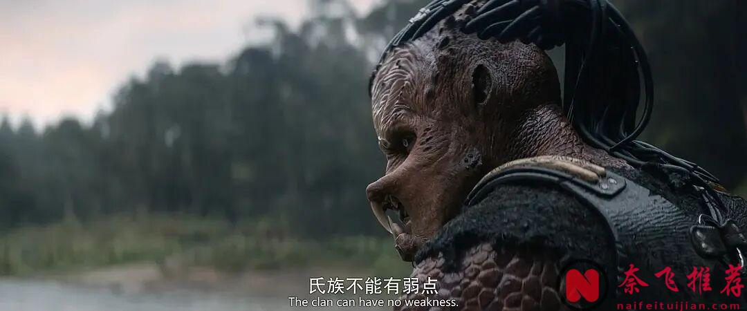 在鐵血戰士的世界裏，榮耀只來自兩件事：狩獵和勝利！