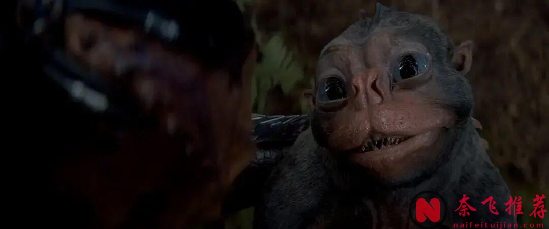 在鐵血戰士的世界裏，榮耀只來自兩件事：狩獵和勝利！