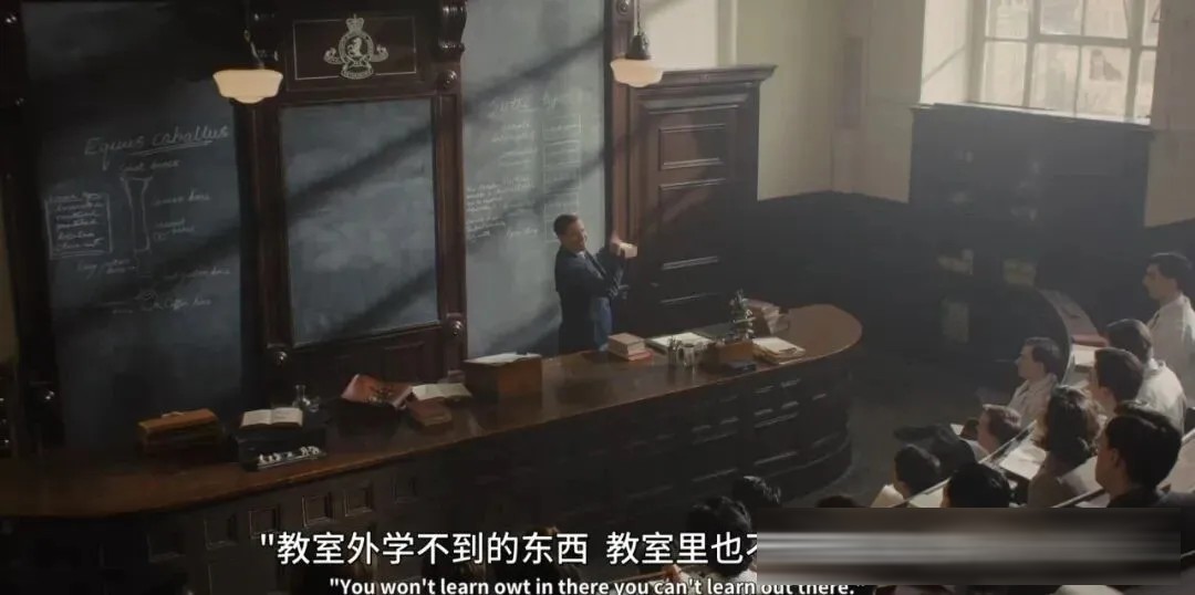 《万物生灵/菜鸟兽医日记》第七季回归:战后约克郡,慢日子里的安慰