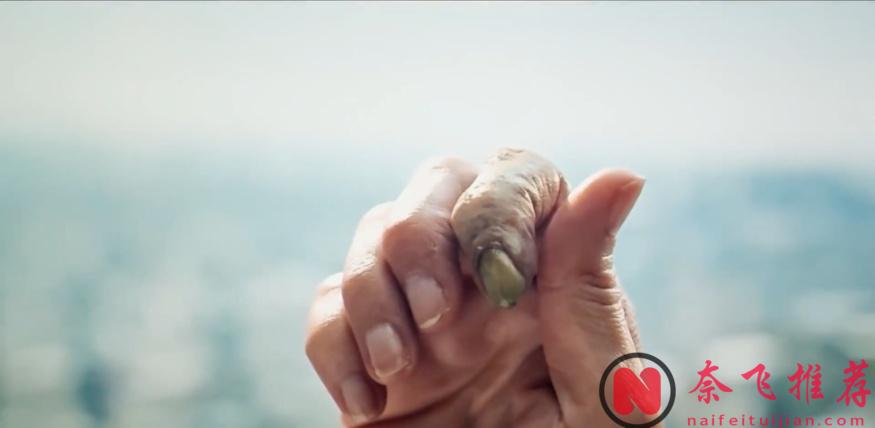 2024年度高分cult恐怖片《完美物質/懼裂/某種物質》圖解，沒想到竟是女導演的傑作！