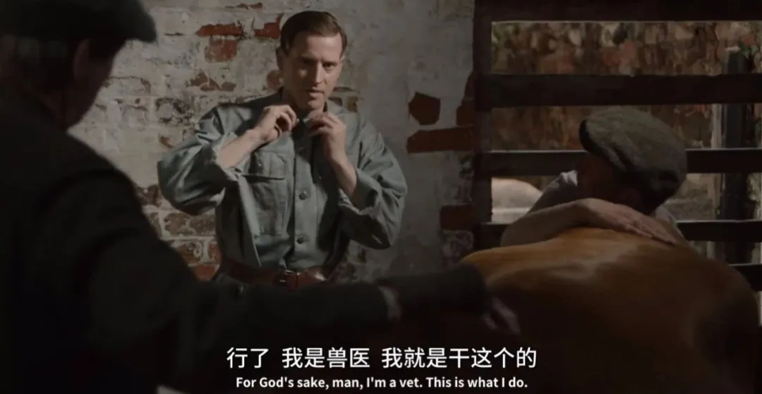 9.4分高分治愈系列英剧《万物生灵 第五季》如约与观众见面，曾创英电视台5年来最高收视纪录