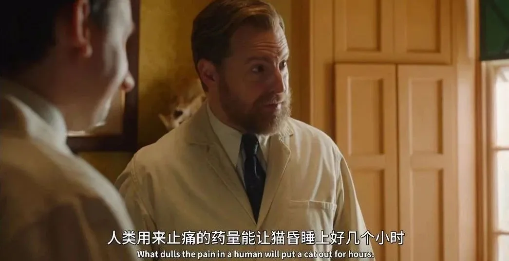 9.4分高分治愈系列英剧《万物生灵 第五季》如约与观众见面，曾创英电视台5年来最高收视纪录