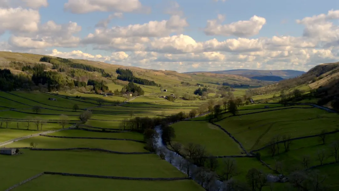 9.4分高分治愈系列英剧《万物生灵 第五季》如约与观众见面，曾创英电视台5年来最高收视纪录