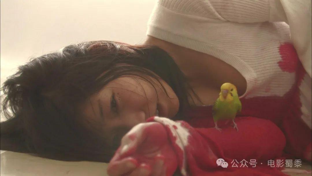 7部大尺度日本電影推薦，題材敏感，只有日本敢這麼拍！