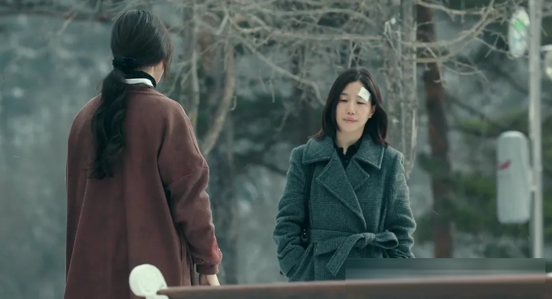 《白色轿车里的女人》:一桩雪地疑案背后,三个受伤女人的选择