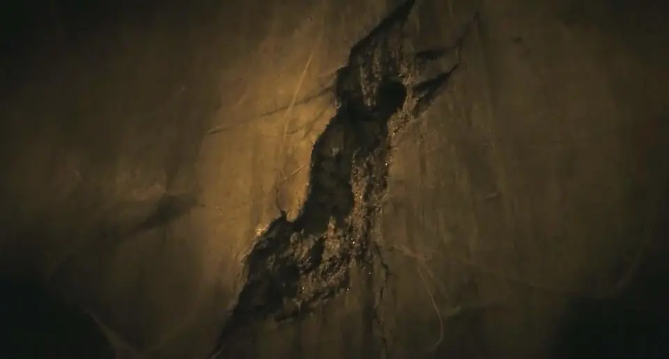 被施暴者，永远背负着不公平的枷锁，这部日本三观炸裂的电影《甜蜜皮鞭》难怪会被禁！