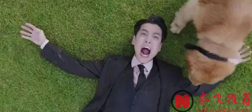 开播就爆！这部剧《公益律师/无偿服务》太上头了！