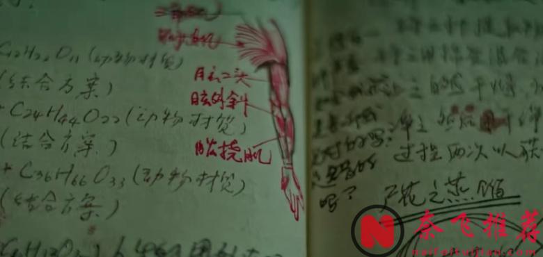 2025最新恐怖片《移植/嫁接》，4.3亿票房，一口气在新西兰电影节拿下9项提名