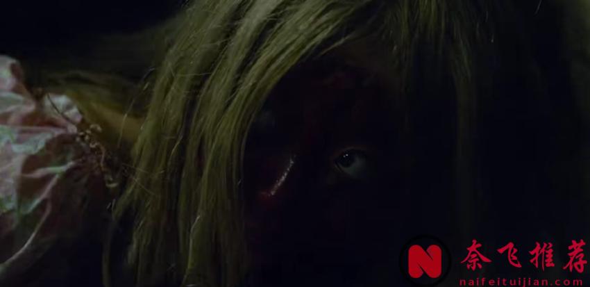 2025最新恐怖片《移植/嫁接》，4.3亿票房，一口气在新西兰电影节拿下9项提名