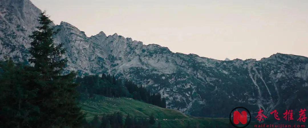 另類恐怖片《怖谷鳥》，請時刻保持對大自然的敬畏之心！