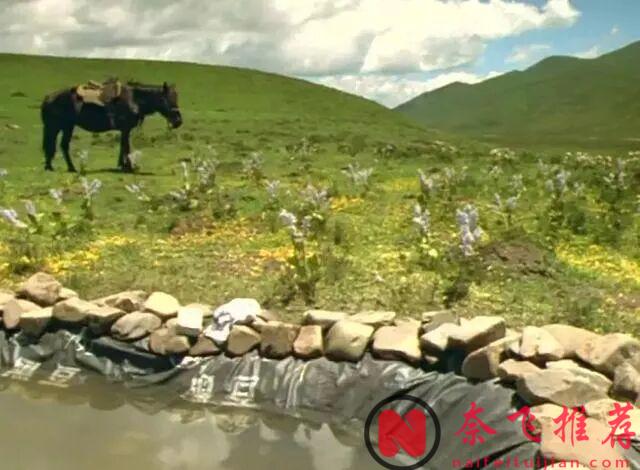 獲獎無數卻遭禁映，電影《天浴》到底講述了什麼？陳沖新書《貓魚》揭秘電影背後的故事