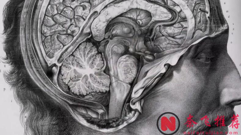 9.1分！美少年神作《良醫/好醫生》最終迎來謝幕！