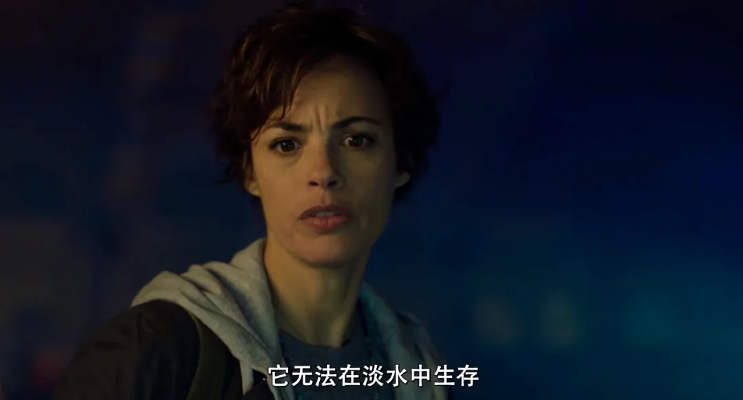 2024 Netflix 最新灾难恐怖大片，结局太爽了！