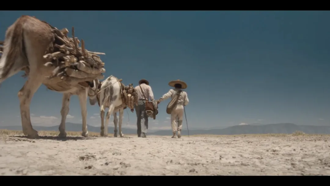 魔幻现实主义鼻祖！网飞又炸尺度新作《佩德罗·巴拉莫》！