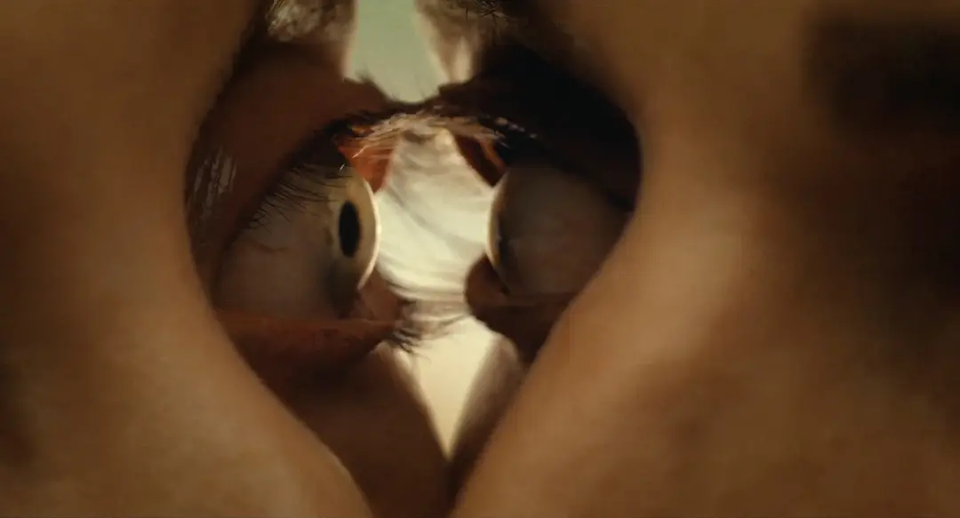 这部R级新恐怖片《同甘共苦/永遠在一起/长相黐守》太抽象太猎奇