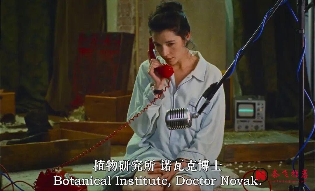 如此猎奇的德国奇幻电影《窈窕马戏/禁羁绮想》，看一部少一部！