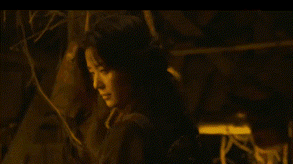 Netflix 究竟怎么想的！全网都在等的神作，怎么就不续订了？