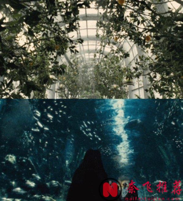 這部韓國偽科幻片突出了末日危機下的醜陋人性，底層人吃蟑螂，上層人吃牛排！