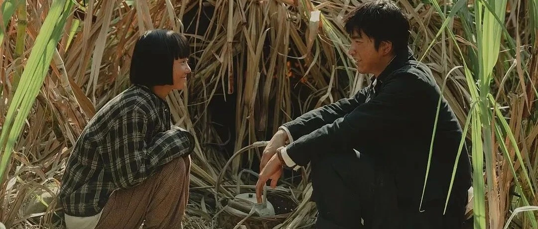 金马最佳剧情片《大濛》：一趟认尸之旅，陈玉勋拍出白色恐怖下的小人物