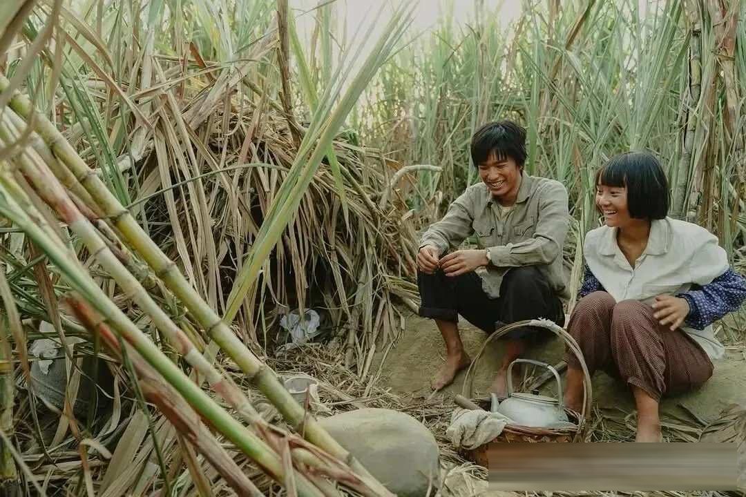 金马最佳剧情片《大濛》：一趟认尸之旅，陈玉勋拍出白色恐怖下的小人物
