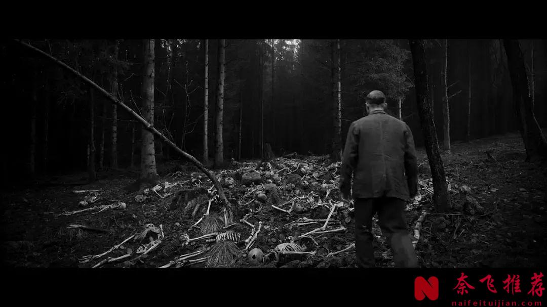 高分冷门战争电影《冒牌上尉/以希魔的名义》！