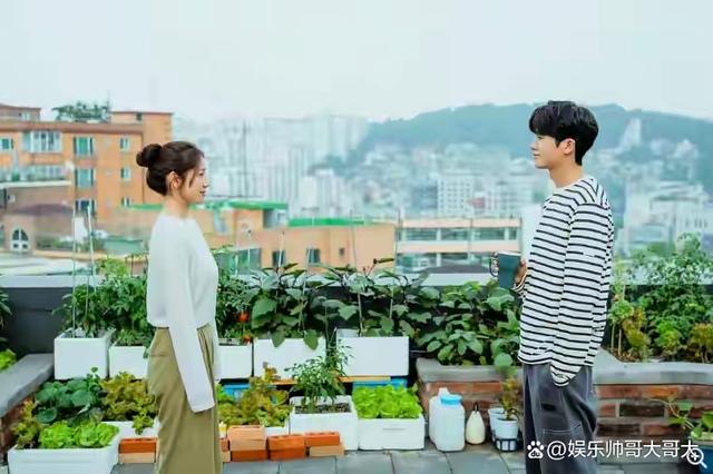 2024年1月Netflix大片盘点！这些好片好剧让你一饱眼福！