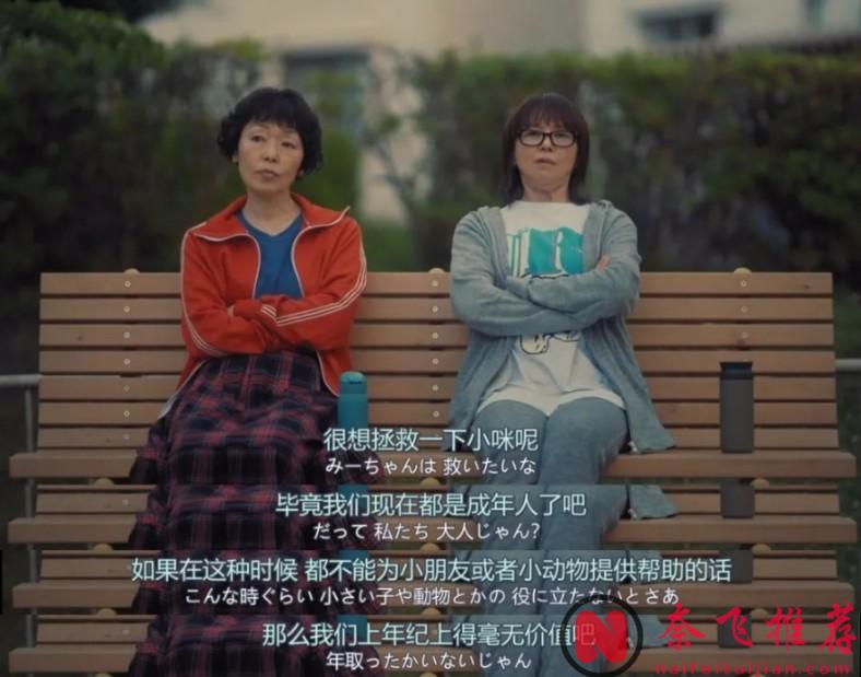 治癒劇題材影視劇還是要看日劇，治癒劇女神「小林聰美」主演的9.1分新劇《住宅區的兩人》已上映！