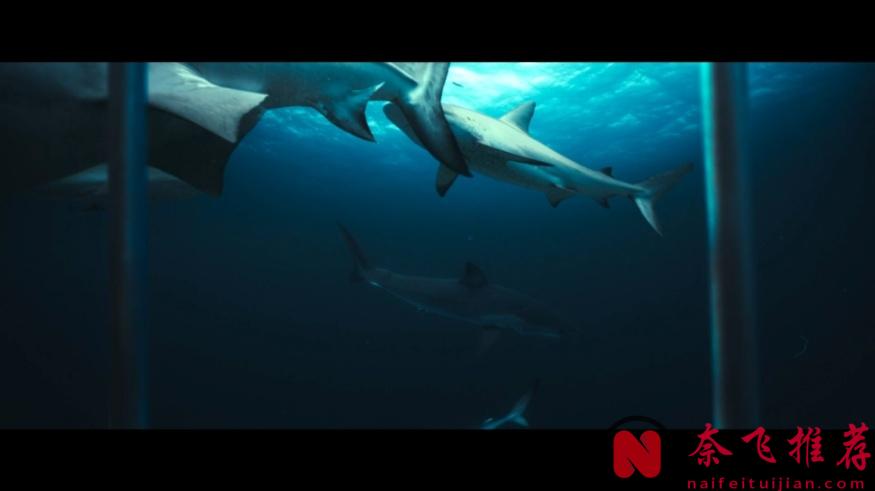 尺度+驚悚，這R級爽片《危險動物/鯊人魔》真生猛，是一部超出預期的驚悚佳作！