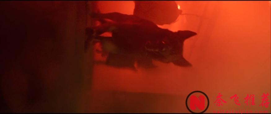 白天判人生死，晚上X盡人亡：韓國“精英”檢察官的畜生道輪迴！