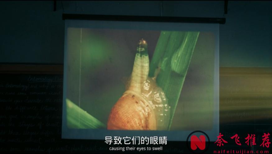 9分神劇《小丑回魂/它：歡迎來到德里鎮》再上大分，午飯都吐出來了！