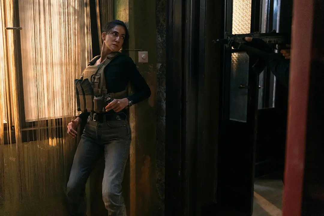 肾上腺素狂飙，年度最狠美剧《终极名单:黑狼/终极名单：暗夜之狼》来了！