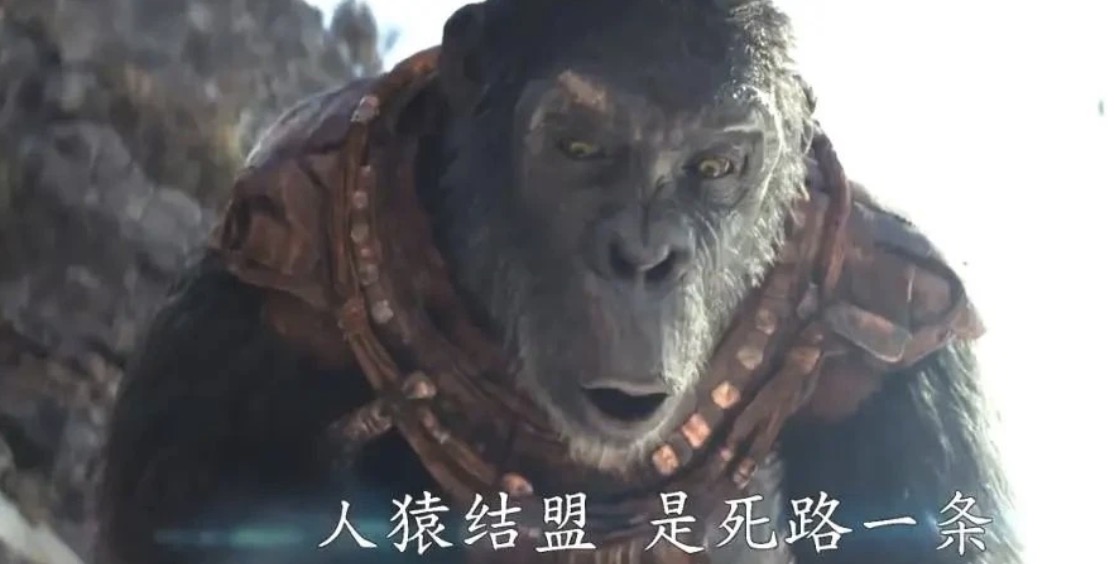 2024必看6部歐美大片，有的勁爆，有的已惦記10年，我已迫不及待！