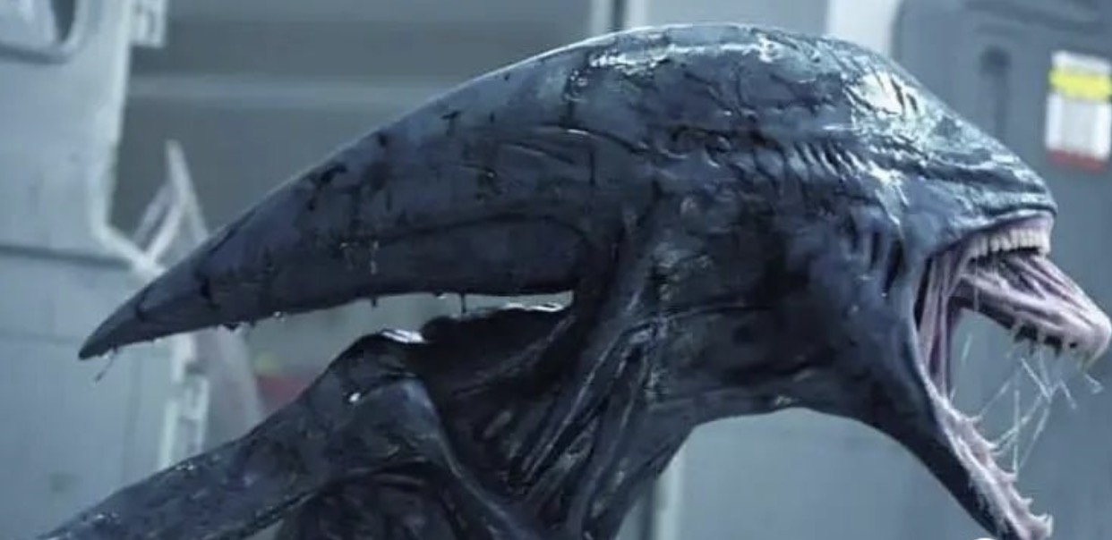 2024必看6部歐美大片，有的勁爆，有的已惦記10年，我已迫不及待！