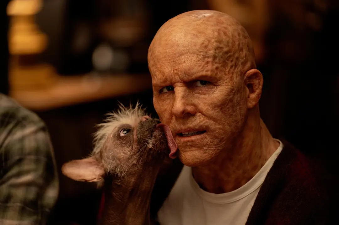 2024必看6部歐美大片，有的勁爆，有的已惦記10年，我已迫不及待！