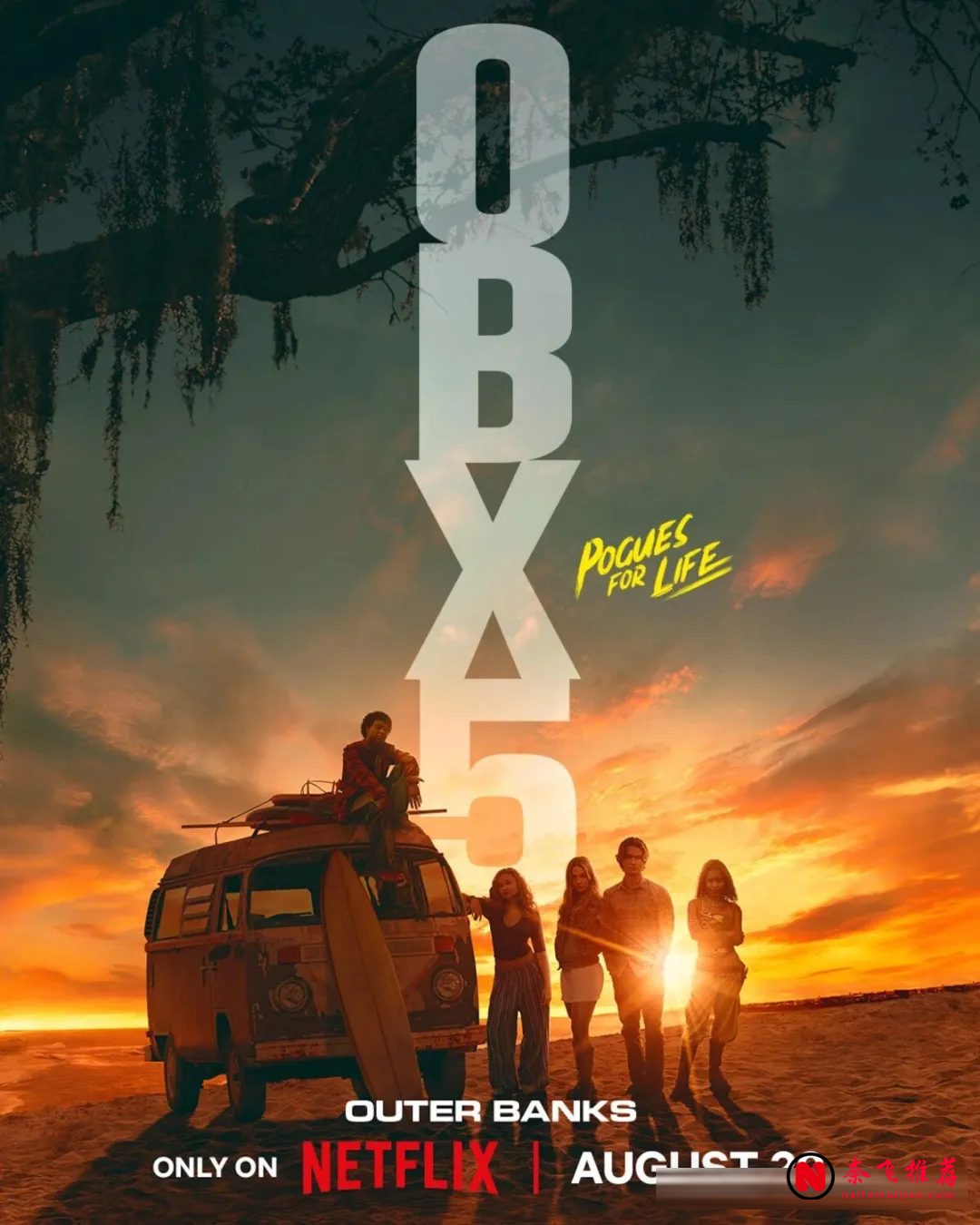 Netflix 2026年8月新片全解:从《百年孤独》终章到日综新作