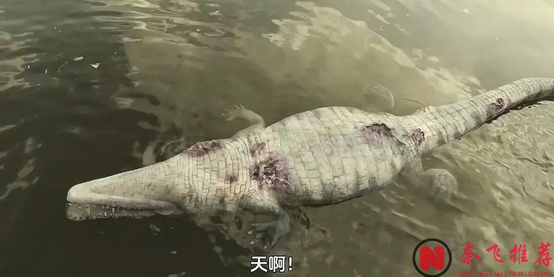 一只鳄鱼，嘴里叼着一只手，画面定格！这部9分犯罪神剧《戴洛奇小镇/戴洛克小镇》第二季终于回归！