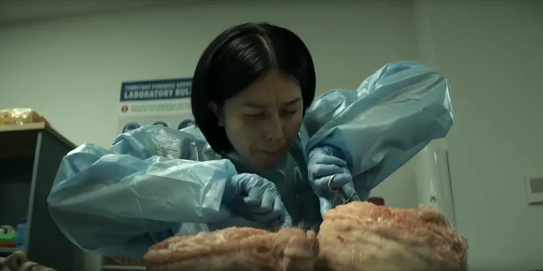 一只鳄鱼，嘴里叼着一只手，画面定格！这部9分犯罪神剧《戴洛奇小镇/戴洛克小镇》第二季终于回归！