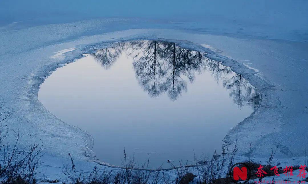 權威機構《電影評論》雜誌評選的年度最佳影片Top10