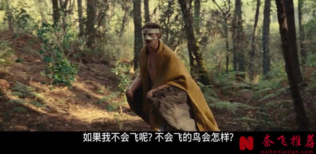 戛纳脑洞奇片《动物王国/进化症候群》，身边人变异长出翅膀怎么办？彻底颠覆认知！