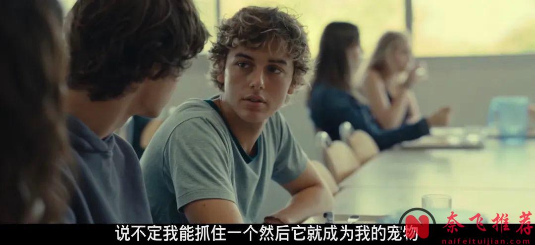 戛纳脑洞奇片《动物王国/进化症候群》，身边人变异长出翅膀怎么办？彻底颠覆认知！