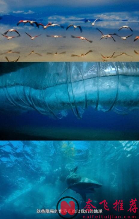 超震撼9.2分冒险纪录片《带你探索地球/探访超凡地球》！威尔史密斯：这是从未见过的世界...