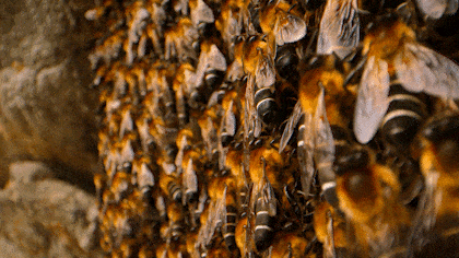 超震撼9.2分冒险纪录片《带你探索地球/探访超凡地球》！威尔史密斯：这是从未见过的世界...