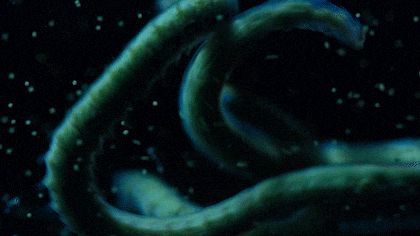 超震撼9.2分冒险纪录片《带你探索地球/探访超凡地球》！威尔史密斯：这是从未见过的世界...